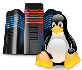 Linux Shared Hosting
